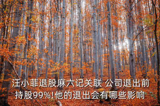  汪小菲退股麻六記關(guān)聯(lián) 公司退出前持股99%!他的退出會(huì)有哪些影響