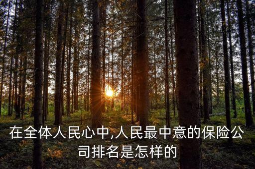 在全體人民心中,人民最中意的保險(xiǎn)公司排名是怎樣的