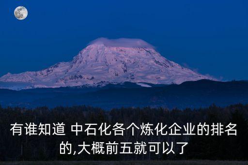 有誰知道 中石化各個(gè)煉化企業(yè)的排名的,大概前五就可以了