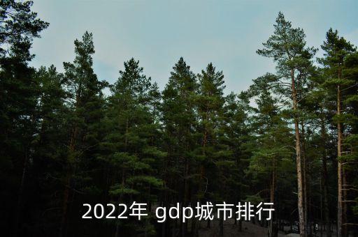 2022年 gdp城市排行