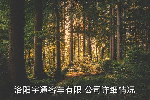 洛陽宇通客車有限 公司詳細(xì)情況