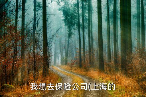 我想去保險(xiǎn)公司(上海的