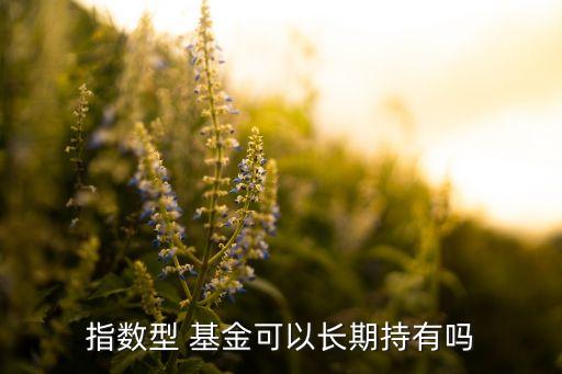 指數(shù)型 基金可以長期持有嗎