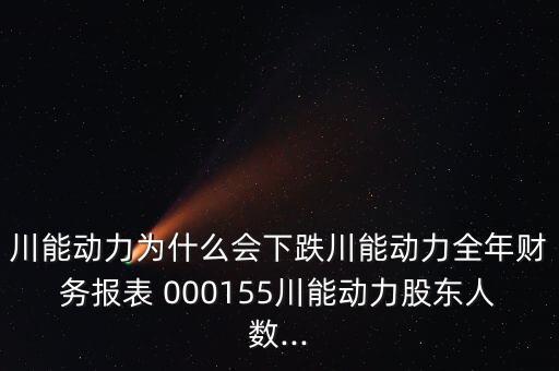 川能動力為什么會下跌川能動力全年財務報表 000155川能動力股東人數(shù)...