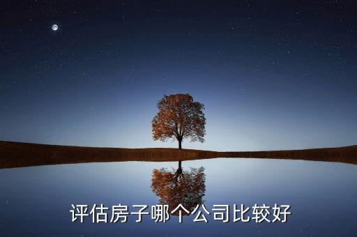  評(píng)估房子哪個(gè)公司比較好