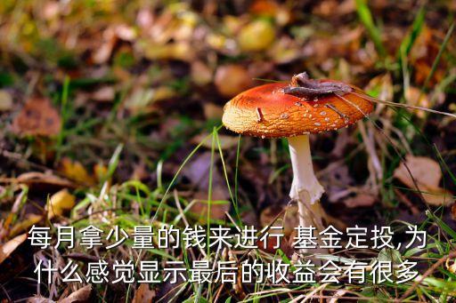 每月拿少量的錢來進(jìn)行 基金定投,為什么感覺顯示最后的收益會有很多