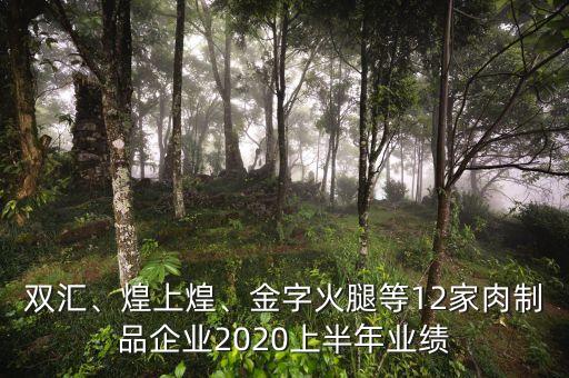 雙匯、煌上煌、金字火腿等12家肉制品企業(yè)2020上半年業(yè)績