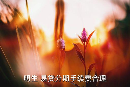 明生 易貸分期手續(xù)費(fèi)合理