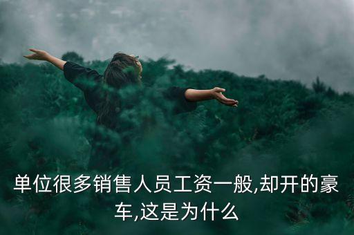 單位很多銷售人員工資一般,卻開(kāi)的豪車,這是為什么