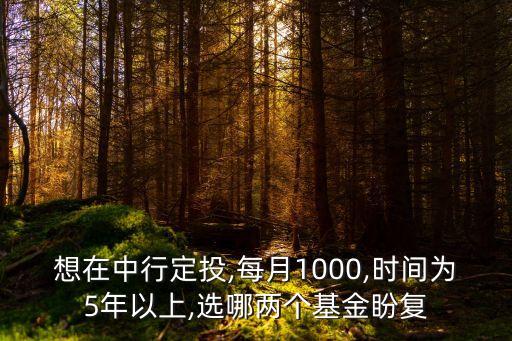 想在中行定投,每月1000,時(shí)間為5年以上,選哪兩個(gè)基金盼復(fù)