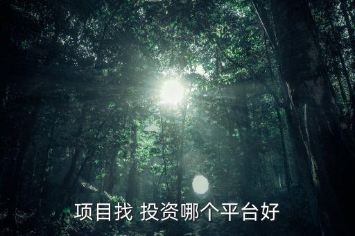 項(xiàng)目找 投資哪個(gè)平臺(tái)好