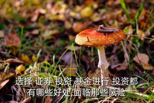 選擇 證券 投資 基金進(jìn)行 投資都有哪些好處,面臨那些風(fēng)險(xiǎn)