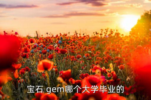 寶石 gem哪個大學(xué)畢業(yè)的