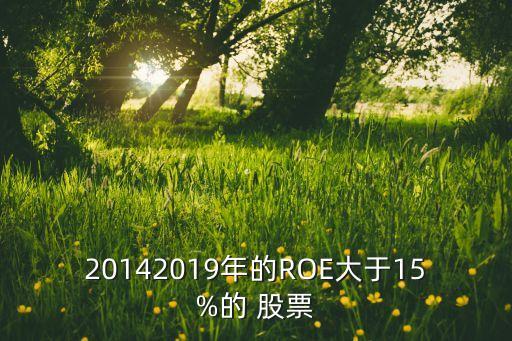 20142019年的ROE大于15%的 股票