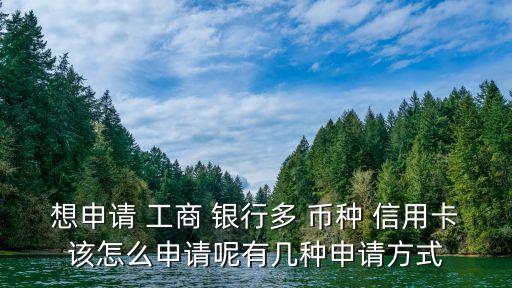 想申請(qǐng) 工商 銀行多 幣種 信用卡該怎么申請(qǐng)呢有幾種申請(qǐng)方式