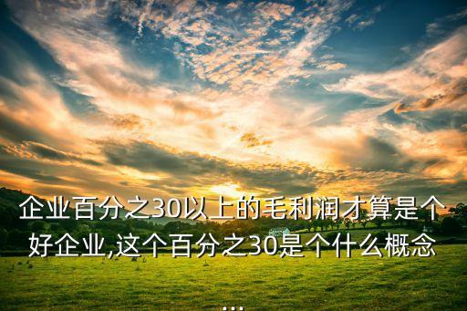 企業(yè)百分之30以上的毛利潤(rùn)才算是個(gè)好企業(yè),這個(gè)百分之30是個(gè)什么概念...