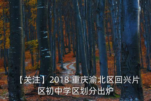 【關(guān)注】2018 重慶渝北區(qū)回興片區(qū)初中學(xué)區(qū)劃分出爐