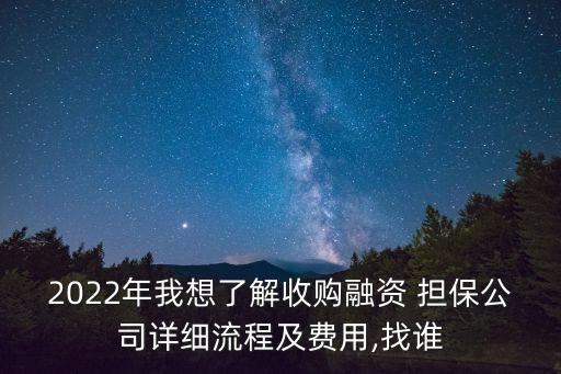 2022年我想了解收購融資 擔保公司詳細流程及費用,找誰