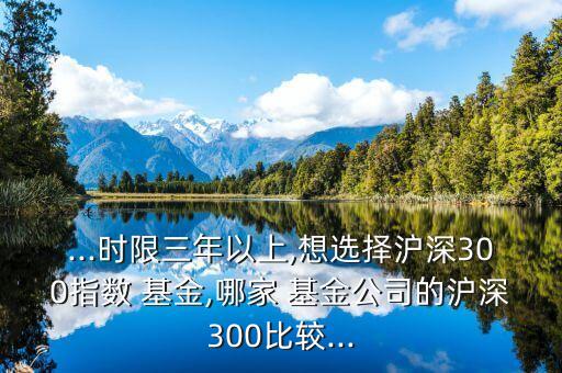 ...時(shí)限三年以上,想選擇滬深300指數(shù) 基金,哪家 基金公司的滬深300比較...