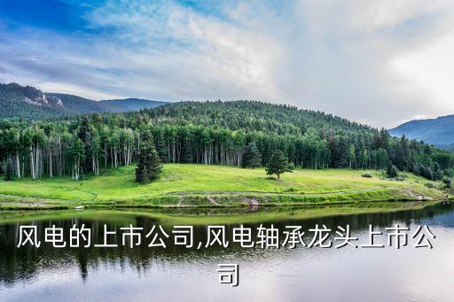 關(guān)于風(fēng)電的上市公司,風(fēng)電軸承龍頭上市公司