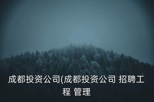 成都投資公司(成都投資公司 招聘工程 管理