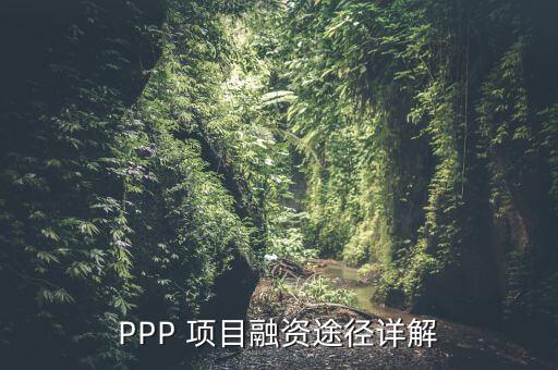 PPP 項目融資途徑詳解