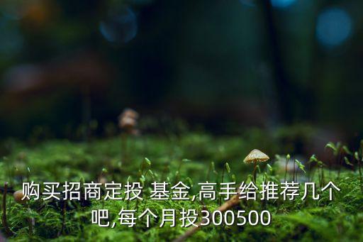 購(gòu)買招商定投 基金,高手給推薦幾個(gè)吧,每個(gè)月投300500