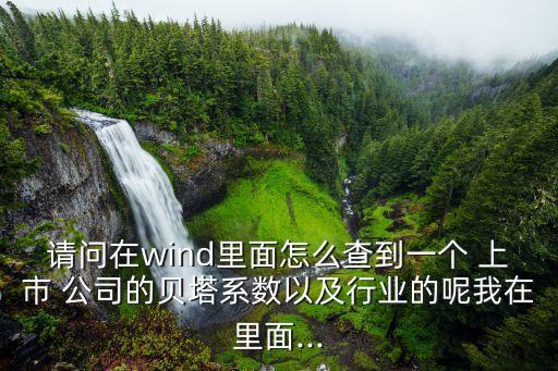 請問在wind里面怎么查到一個 上市 公司的貝塔系數(shù)以及行業(yè)的呢我在里面...