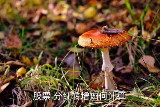 股票 分紅轉(zhuǎn)增如何計(jì)算