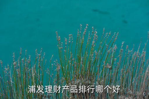 浦發(fā)理財產(chǎn)品排行哪個好