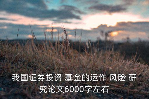 我國證券投資 基金的運(yùn)作 風(fēng)險(xiǎn) 研究論文6000字左右