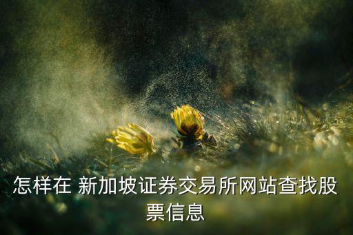 怎樣在 新加坡證券交易所網(wǎng)站查找股票信息