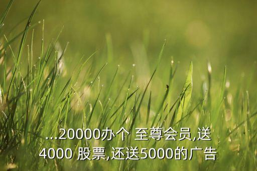 ...20000辦個(gè) 至尊會(huì)員,送4000 股票,還送5000的廣告