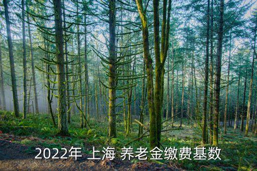 2022年 上海 養(yǎng)老金繳費基數(shù)