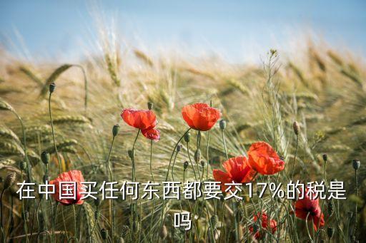 在中國買任何東西都要交17%的稅是嗎