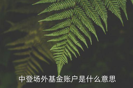  中登場(chǎng)外基金賬戶是什么意思