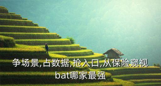 爭(zhēng)場(chǎng)景,占數(shù)據(jù),搶入口,從保險(xiǎn)窺視bat哪家最強(qiáng)