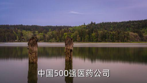 中國500強醫(yī)藥公司