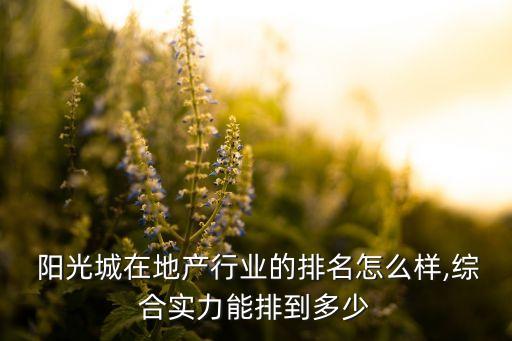  陽光城在地產(chǎn)行業(yè)的排名怎么樣,綜合實力能排到多少