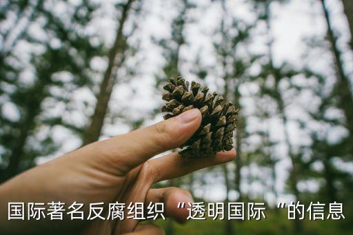 中國在歷年腐敗指數(shù)及世界排名