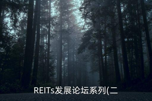 REITs發(fā)展論壇系列(二