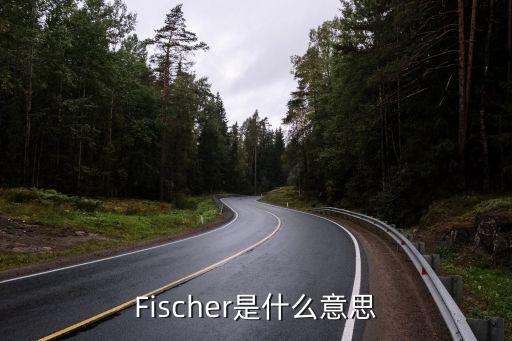 奧地利facc公司,FACC公司