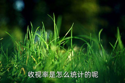  收視率是怎么統(tǒng)計的呢