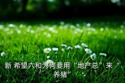 新 希望六和為何要用“地產(chǎn)總”來(lái)“養(yǎng)豬”