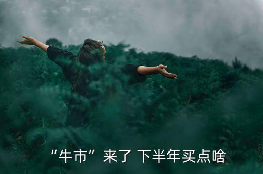 “牛市”來(lái)了 下半年買(mǎi)點(diǎn)啥