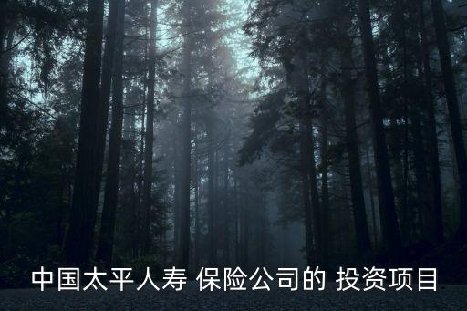 中國太平人壽 保險公司的 投資項目