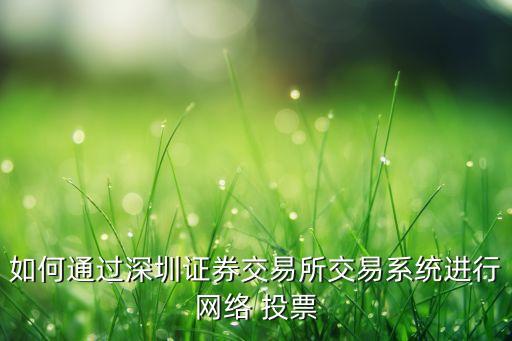 如何通過深圳證券交易所交易系統(tǒng)進(jìn)行網(wǎng)絡(luò) 投票