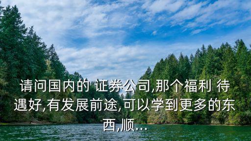 請問國內(nèi)的 證券公司,那個(gè)福利 待遇好,有發(fā)展前途,可以學(xué)到更多的東西,順...