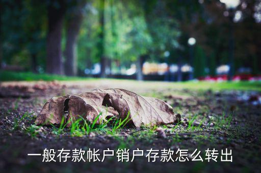 一般存款帳戶銷戶存款怎么轉(zhuǎn)出