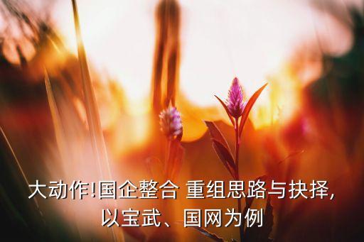 大動作!國企整合 重組思路與抉擇,以寶武、國網(wǎng)為例